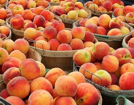 Peaches (Bushel)