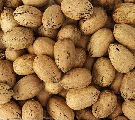Shelled Pecans