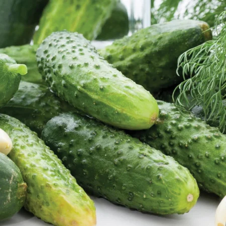 Pickling Cucumbers - Basket