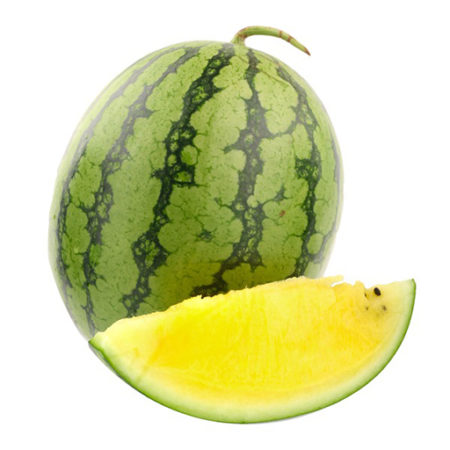 Yellow Watermelon LARGE