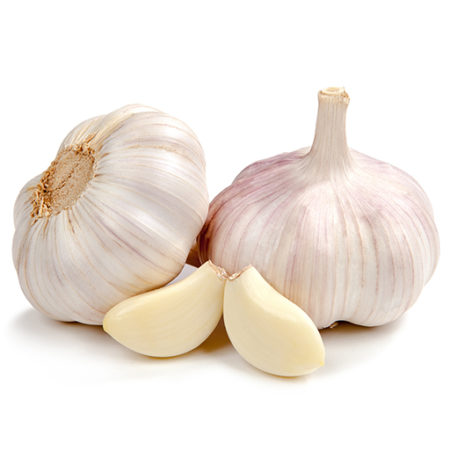 Garlic