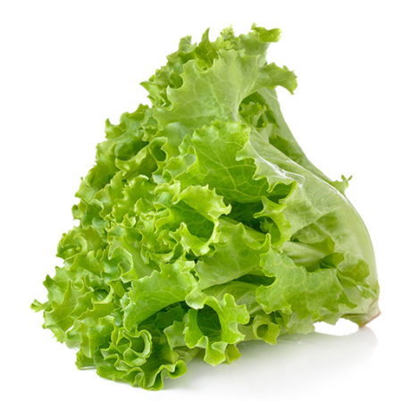 Green Leaf Lettuce - 1 Head