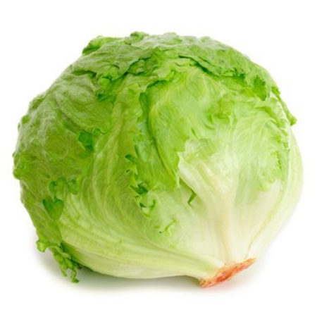 Iceberg Lettuce - 1 head