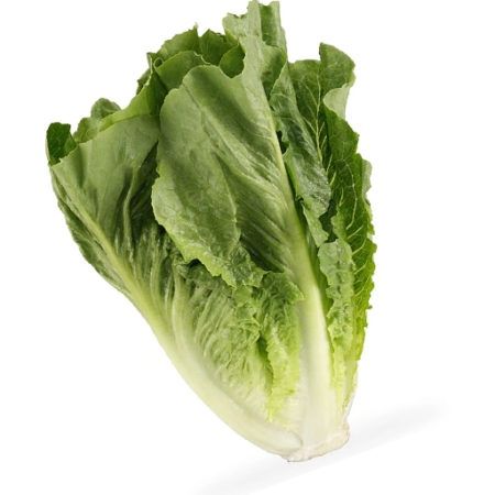 Romaine Lettuce - 1 Head