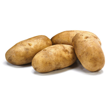 Baking Size (XL) Russet Potato
