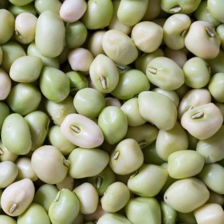 Zipper Cream Peas Bushel - Pre order