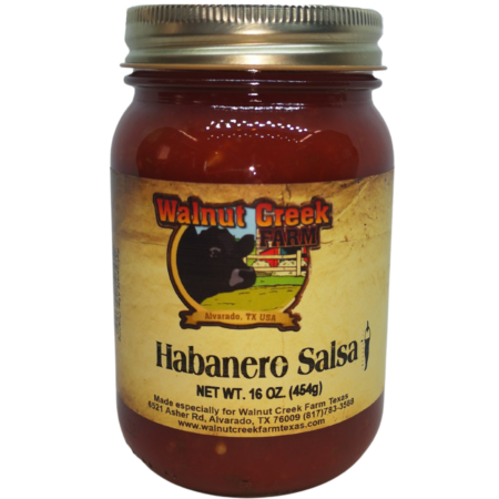 Habanero Salsa