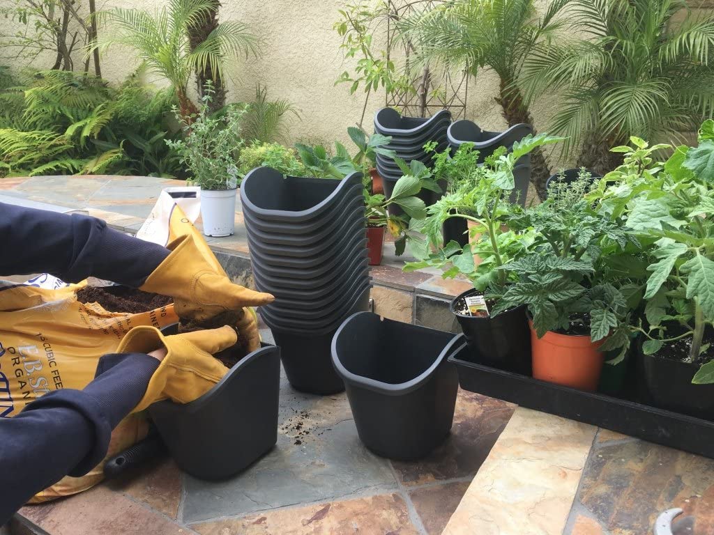 Vertical Garden Planting Kit - Image 2
