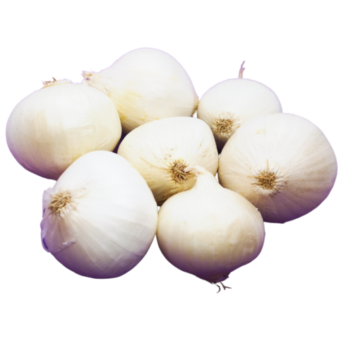 Home Walnut Creek Farm