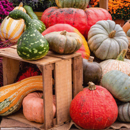 Farm Store Package