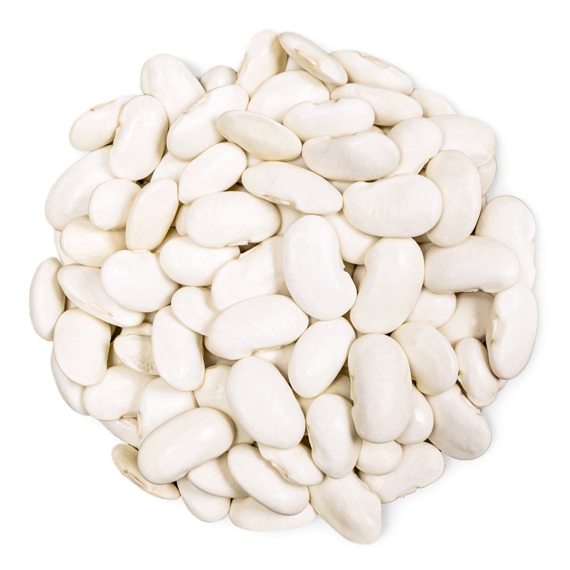 Great Northern Beans