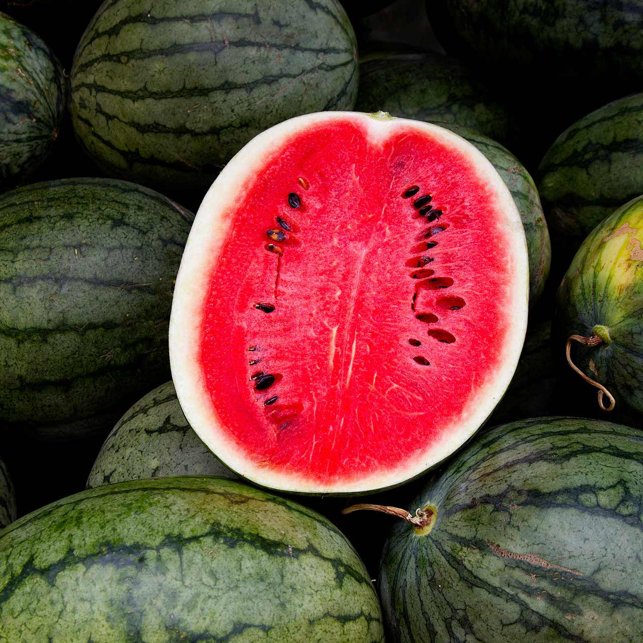 Red Seeded Watermelon