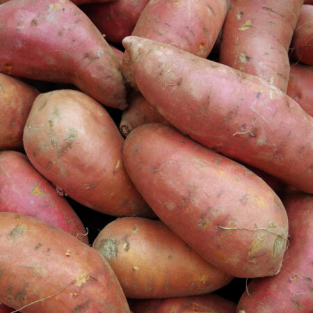 Sweet Potatoes 45lb