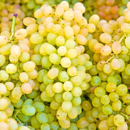 White Grapes 18lb