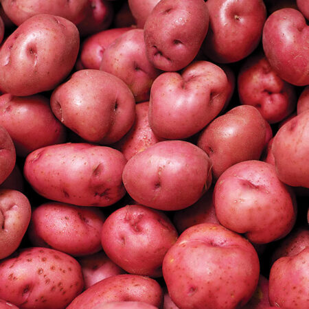 Red Potatoes 50lb