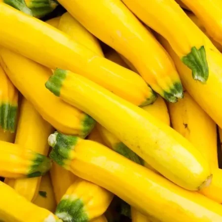 Yellow Squash 20lb