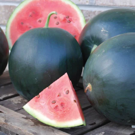 Black Diamond Watermelon (Seedless)
